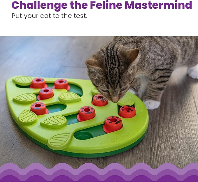 Tabby cat playing with green leaf-shaped puzzle feeder and red ladybug pegs