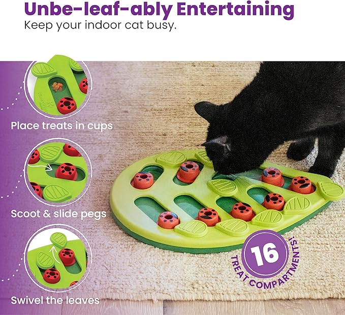 Black cat using a green leaf-shaped puzzle feeder with red ladybug treat pegs