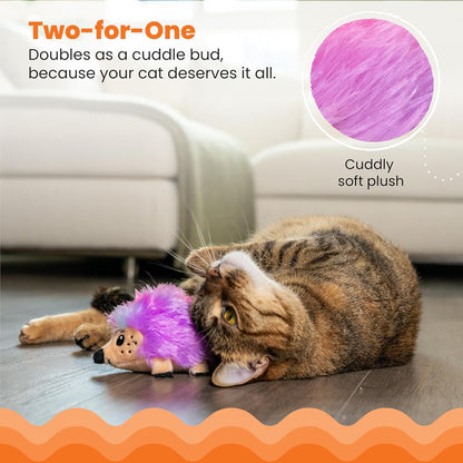 Cat playing with a plush toy, text indicating it's two-for-one and cuddly soft.