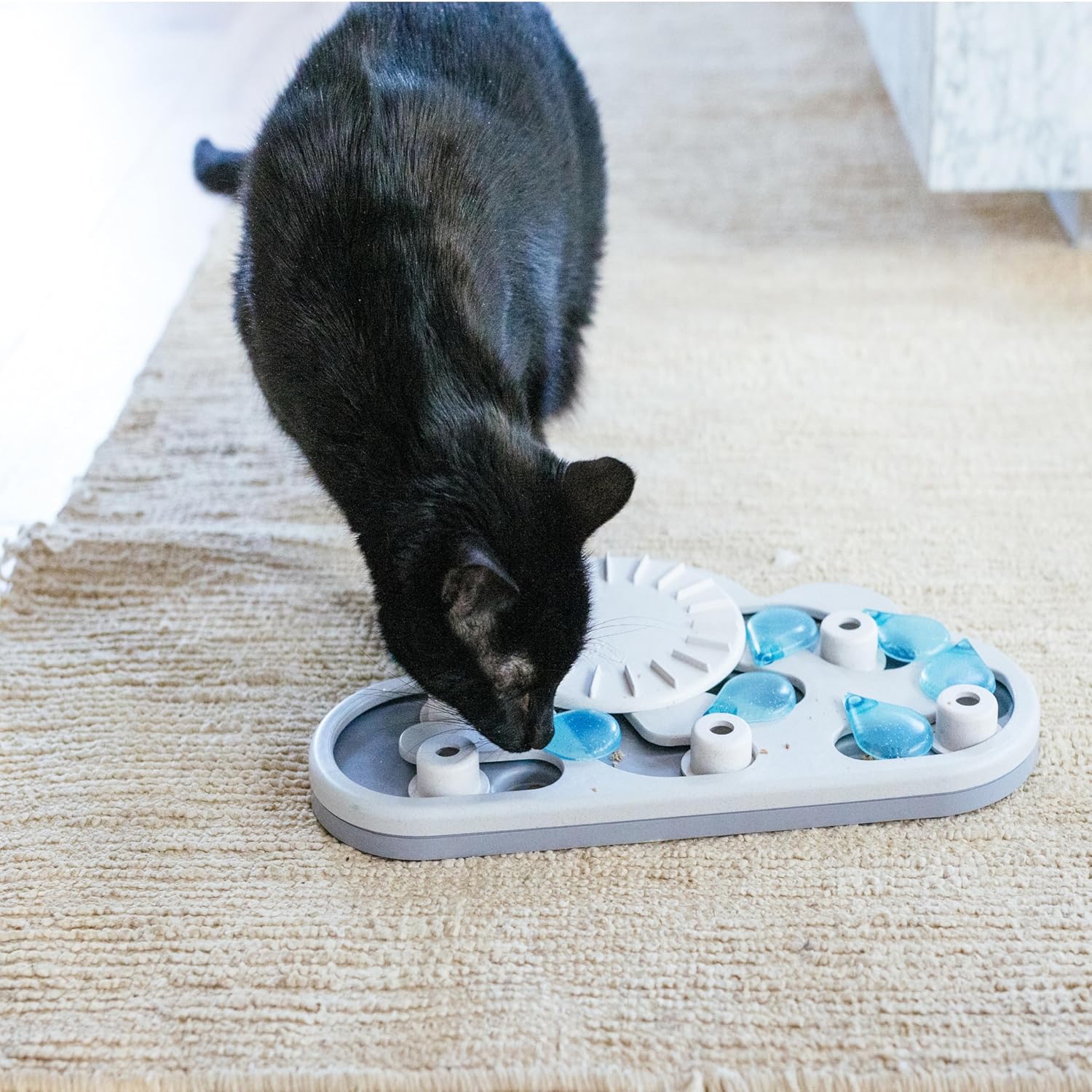 Black cat pawing a cloud-shaped treat puzzle with blue droplet pieces