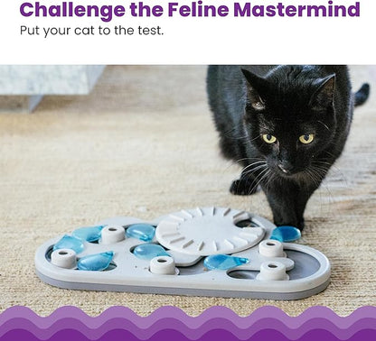 Black cat reaching for a blue and white cloud-shaped treat puzzle feeder