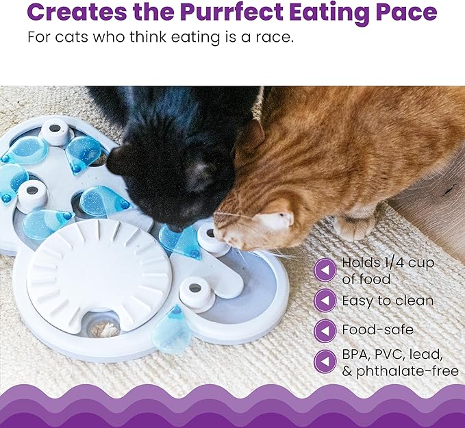 Two cats playing a blue and white cloud-shaped treat puzzle feeder