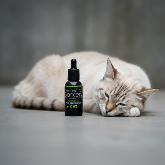 Pure CBD Tincture for Cats (100mg) - The Nightcap