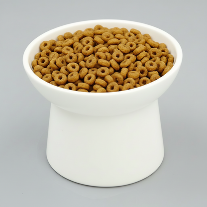 white elevated ceramic pet bowl with slanted design for cats
