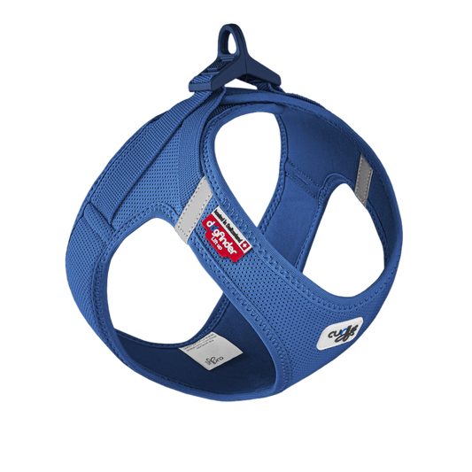 Blue air-mesh vest harness with adjustable clasp and side D-ring openings