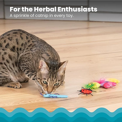 Cat playing with a toy on a wooden floor, with text about catnip.