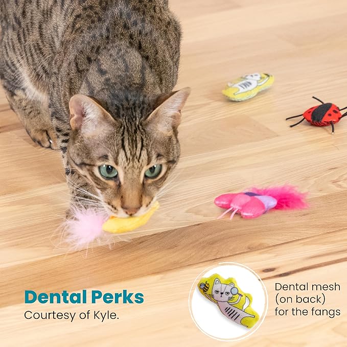 Cat playing with a feather toy on a wooden floor, with additional toys in the background.