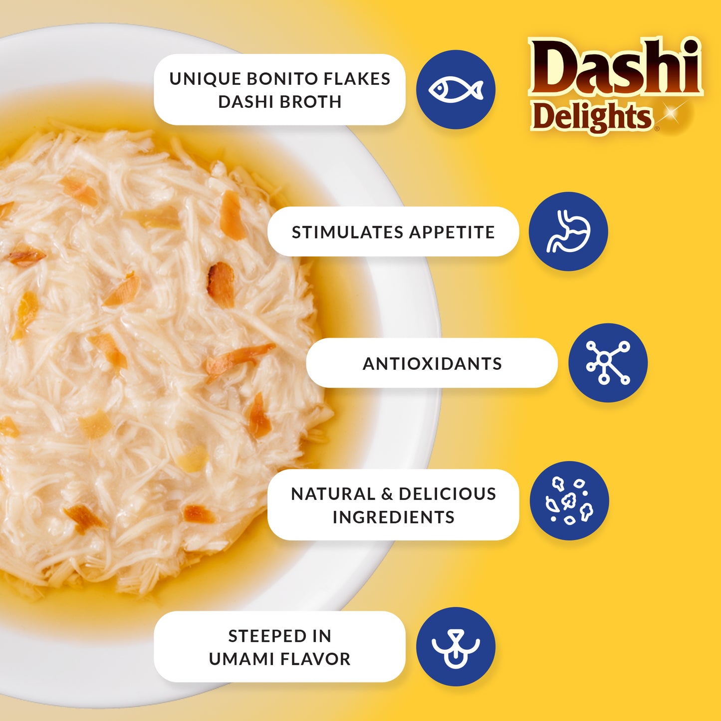Dashi Delights infographic showing natural ingredients, antioxidants, appetite stimulation, and rich umami flavour.