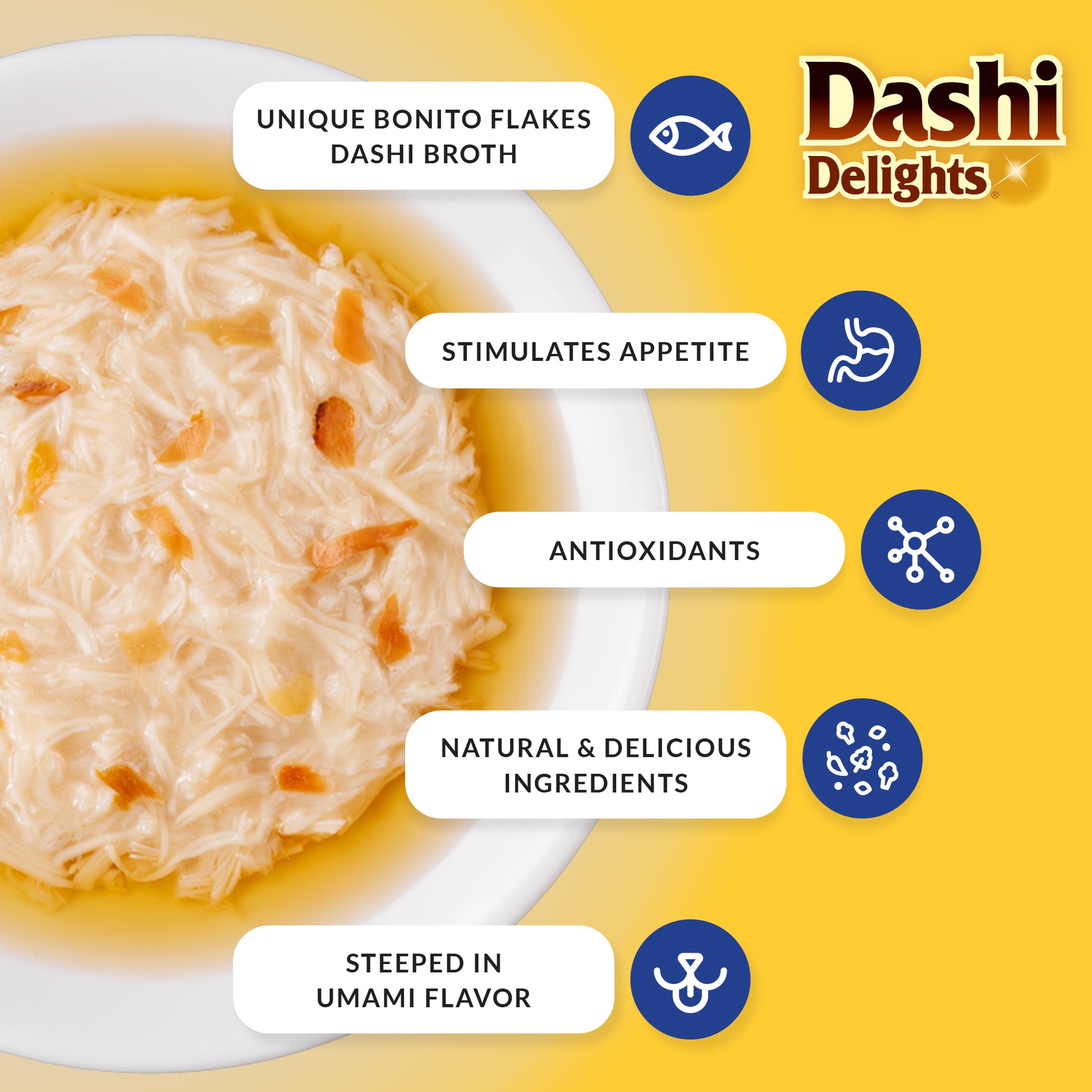 Dashi Delights infographic showing natural ingredients, antioxidants, appetite stimulation, and rich umami flavour.