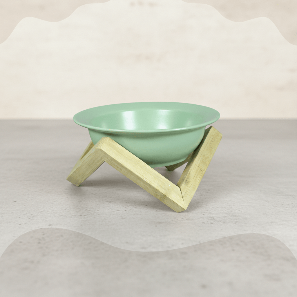 Elevated ceramic cat bowl with bamboo stand, green