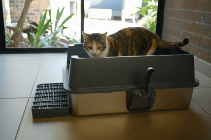 Enclosed cat litter box with side entry, gray and beige design, flip-top lid open