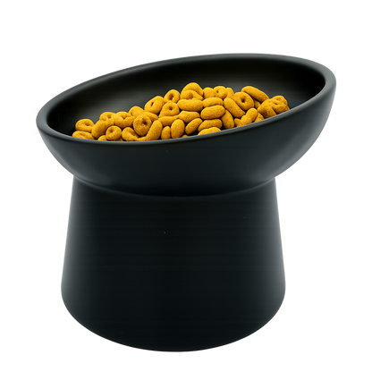 elevated ceramic pet bowl with slanted design for cats
