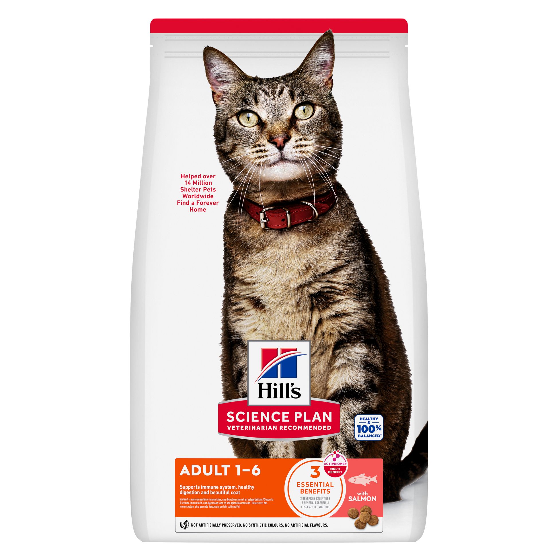 Hill’s Science Plan Adult Dry Cat Food Salmon front pack for adult cats aged 1–6