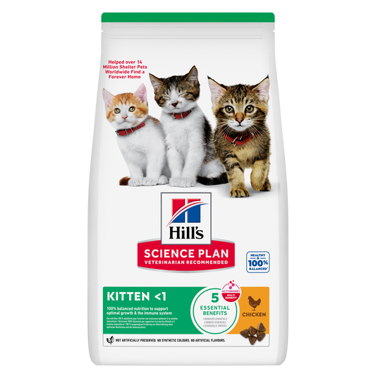 Hill’s Science Plan Kitten Dry Cat Food Chicken front pack for kittens up to 1 year old