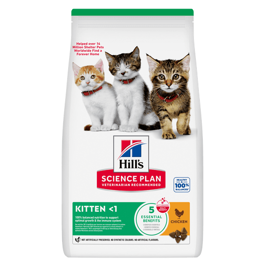 Hill's Science Plan kitten dry cat food, chicken flavor, bag front view