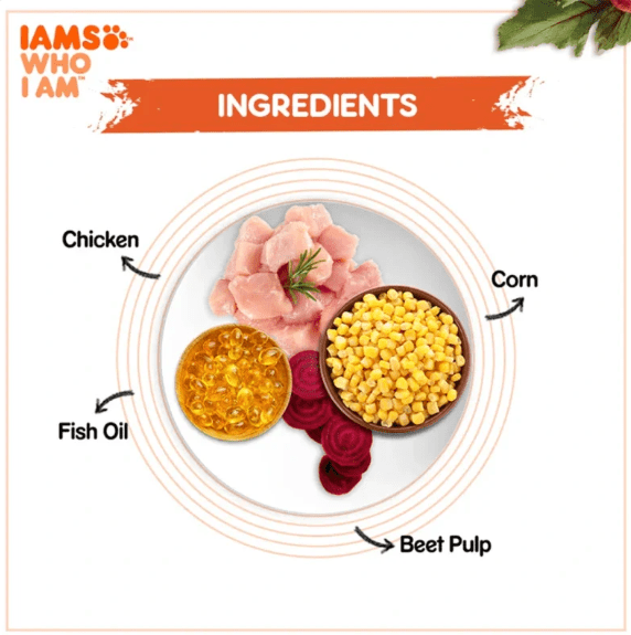 IAMS ingredients diagram with chicken, corn, fish oil and beet pulp