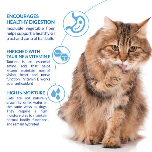 Cat hairball control chicken treat, tabby cat with GI icons