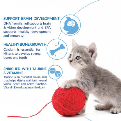 Kitten nutrition benefits including DHA calcium taurine and Vitamin E