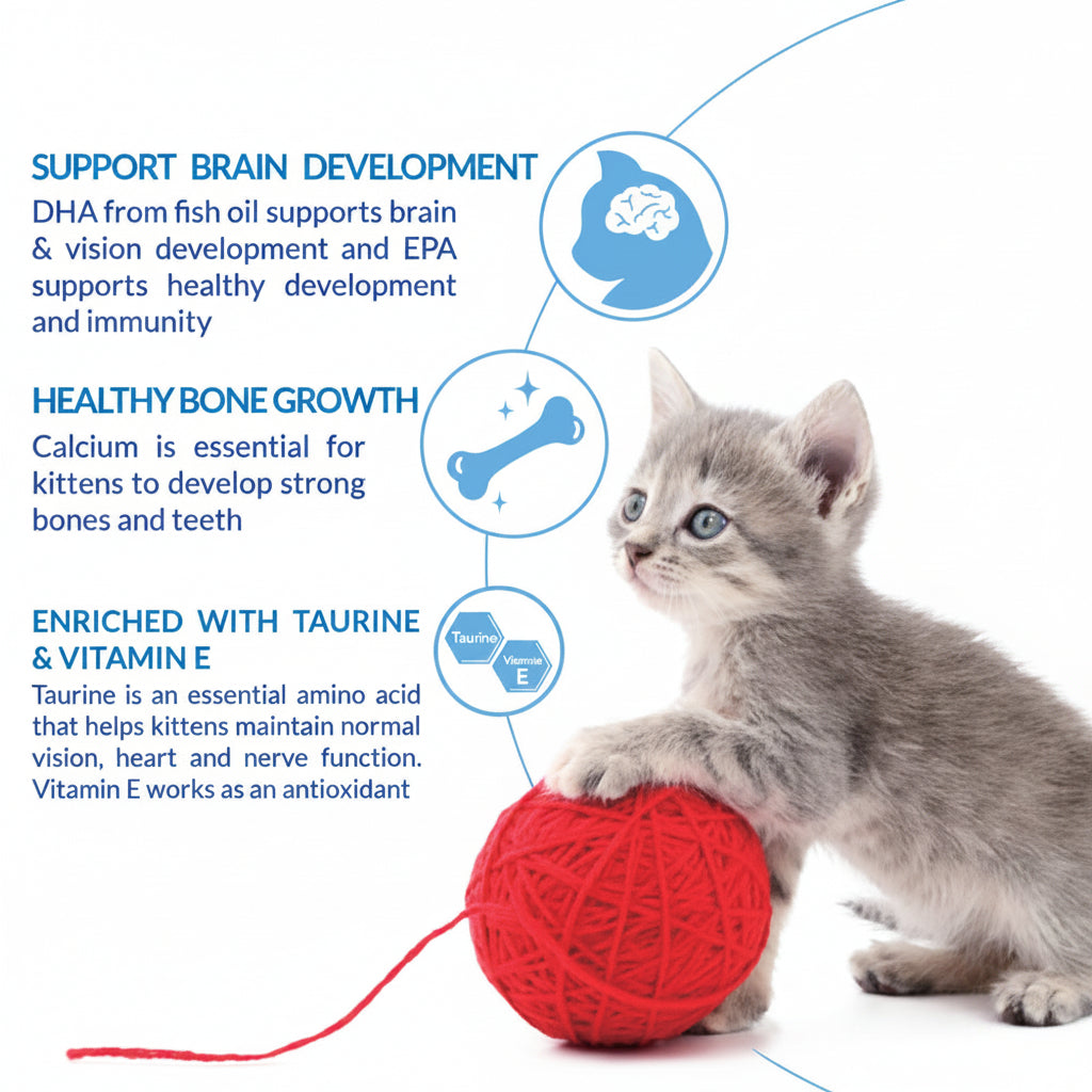 Kitten nutrition benefits including DHA calcium taurine and Vitamin E
