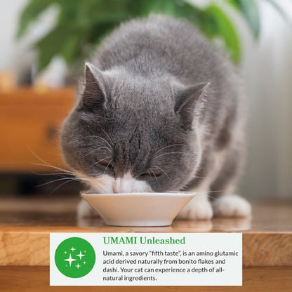 Gray cat eating from small white bowl of creamy broth with visible fish-flake texture
