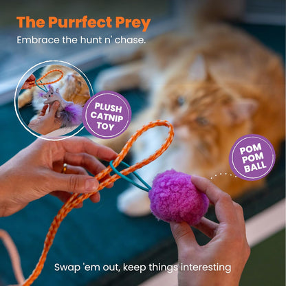 Cat toy set with plush catnip toy and pom pom ball, featuring a cat in the background.