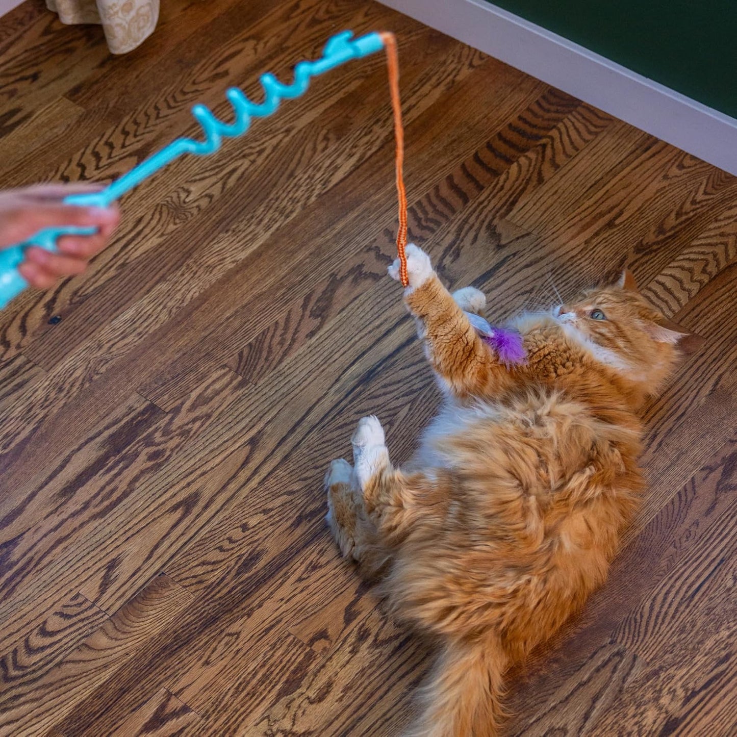 Cat playing with a toy wandon a wooden floor
