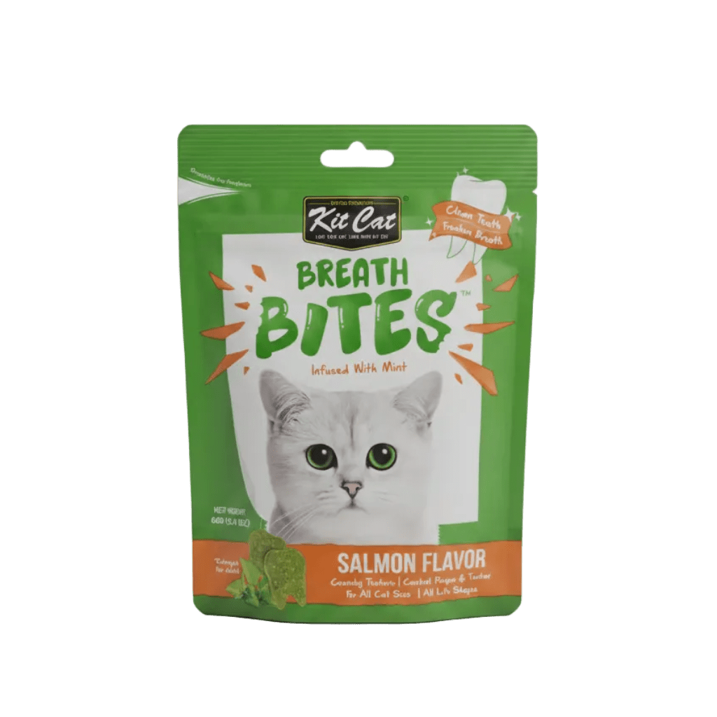 Cat dental treat pouch front, green design with orange accents and Salmon flavor