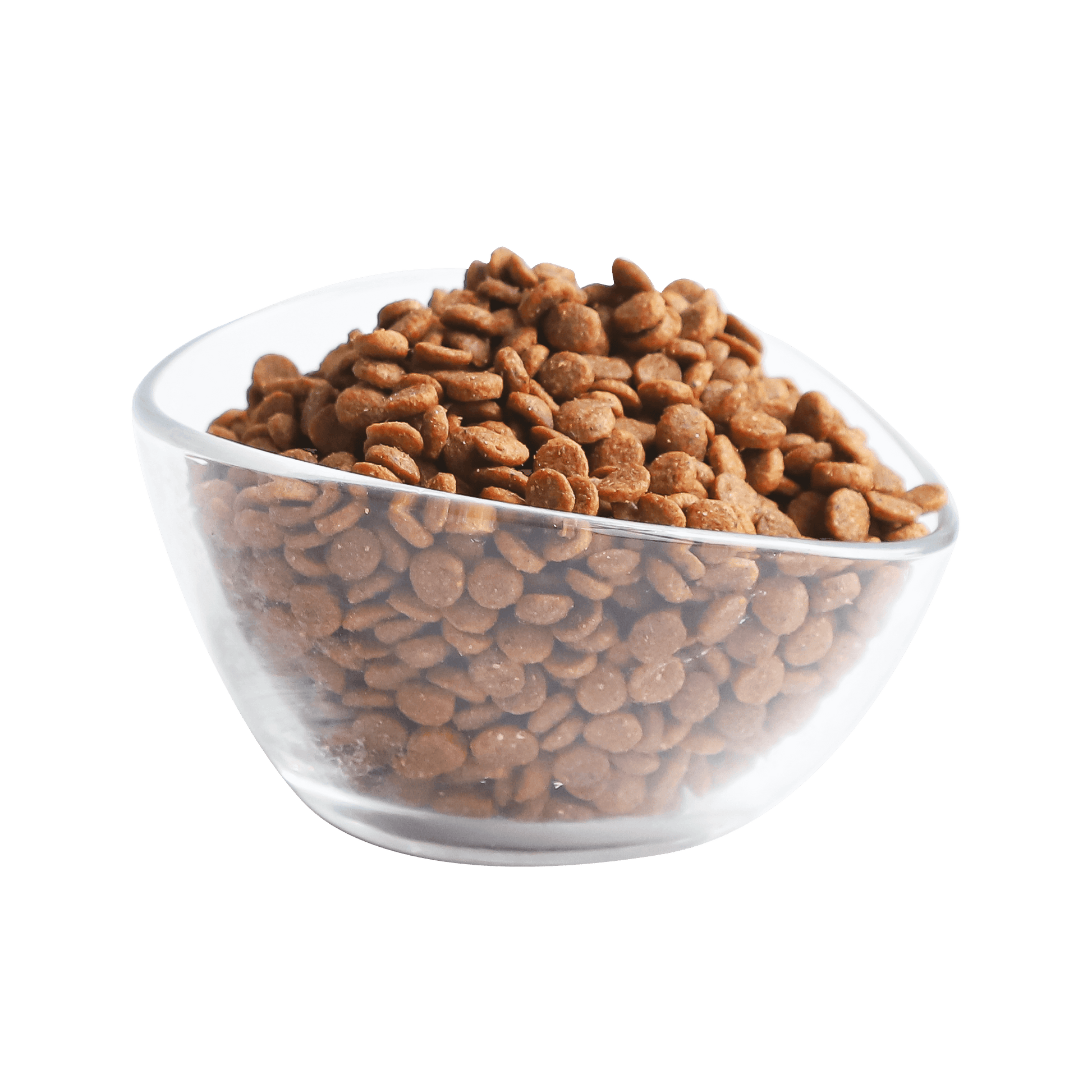 Close-up of Kit Cat Classic 32 dry cat food kibble in a glass bowl showing kibble size and texture.