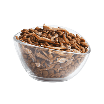 Glass bowl of small brown fish-flavored dry cat kibble