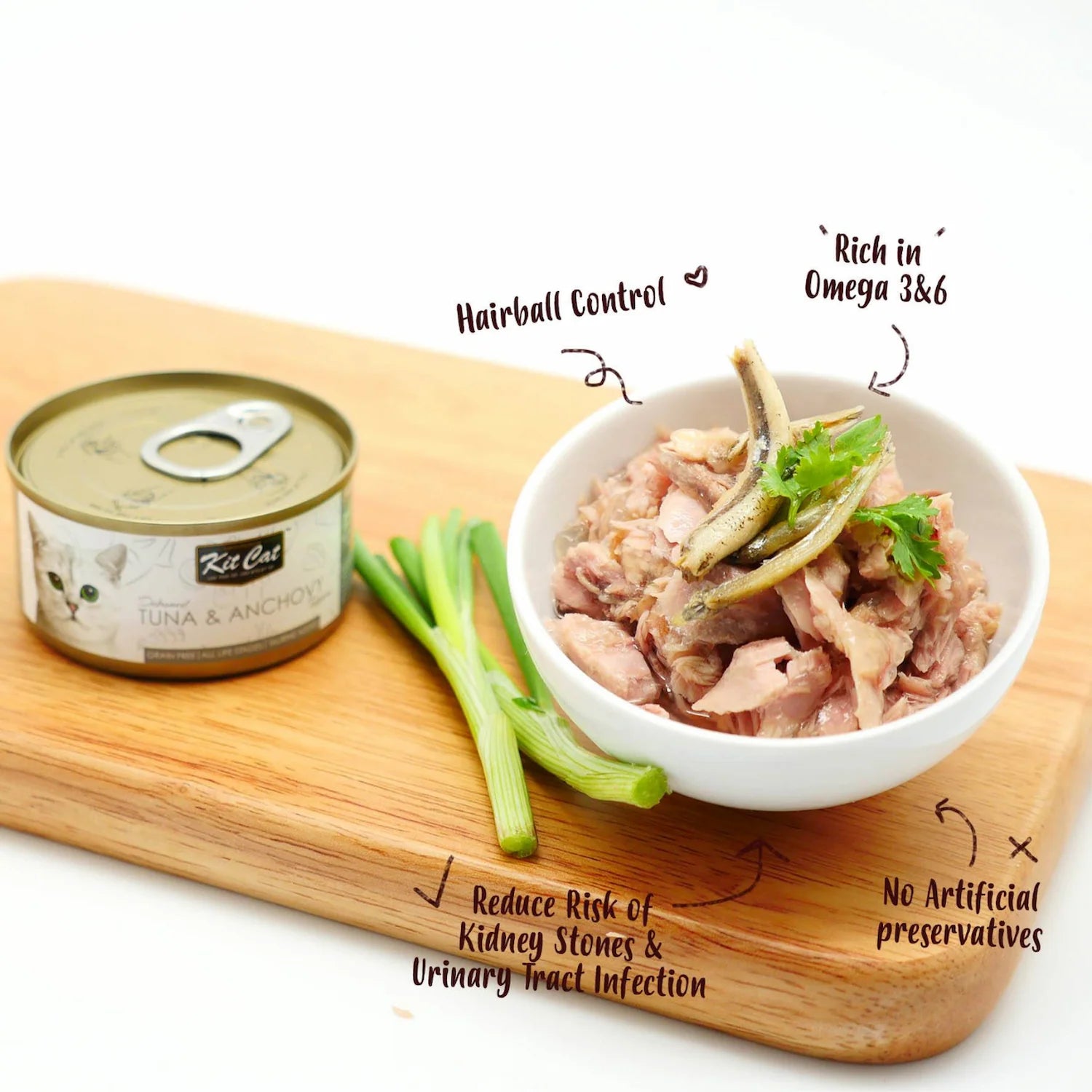 Kit Cat Tuna and Anchovy wet cat food served in a bowl beside the can