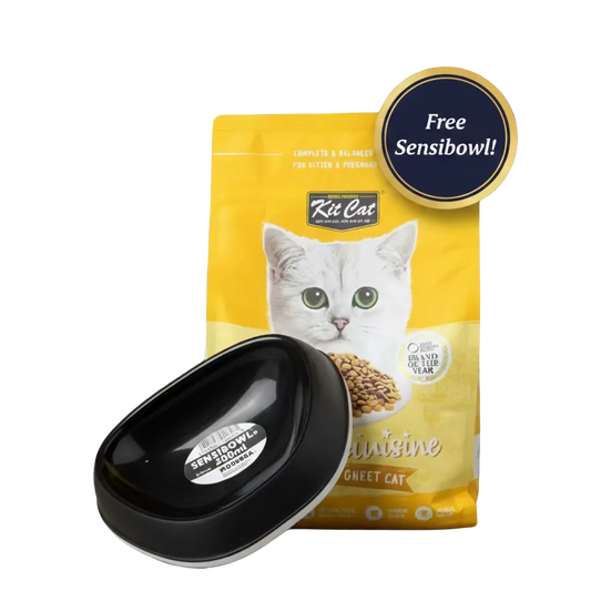 Kit Cat Kitten & Pregnant Dry Cat Food 1.2kg with free Sensibowl
