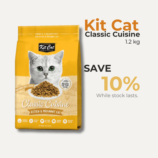 Kit Cat dry food for kittens and pregnant cats