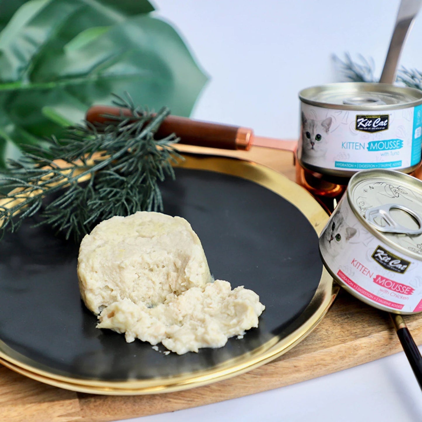 Creamy Kit Cat mousse wet cat food served on a plate with premium canned recipes.