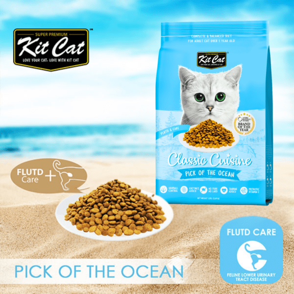 Kit Cat Classic Cuisine dry cat food bag with kibble bowl and Flutd Care icon