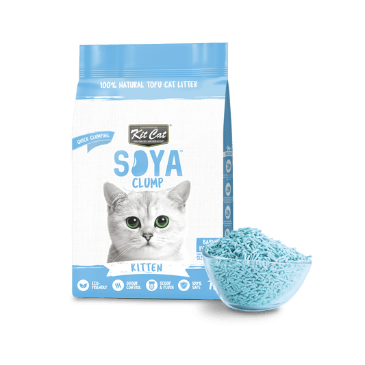 Kit Cat Soya Clump Baby Powder kitten litter with blue pellets in a scoop
