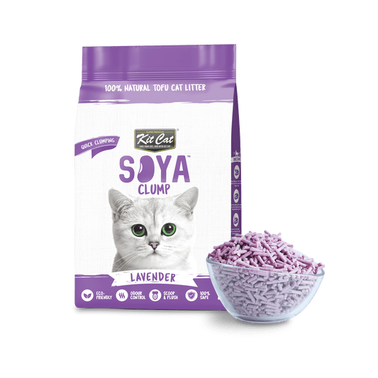 Kit Cat Soya Clump Cat Litter 7L | The Clean Disappearance