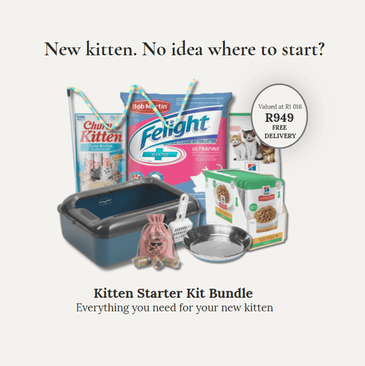 Kitten starter kit bundle with blue litter box, metal food bowl, plush toy, and pet food packs