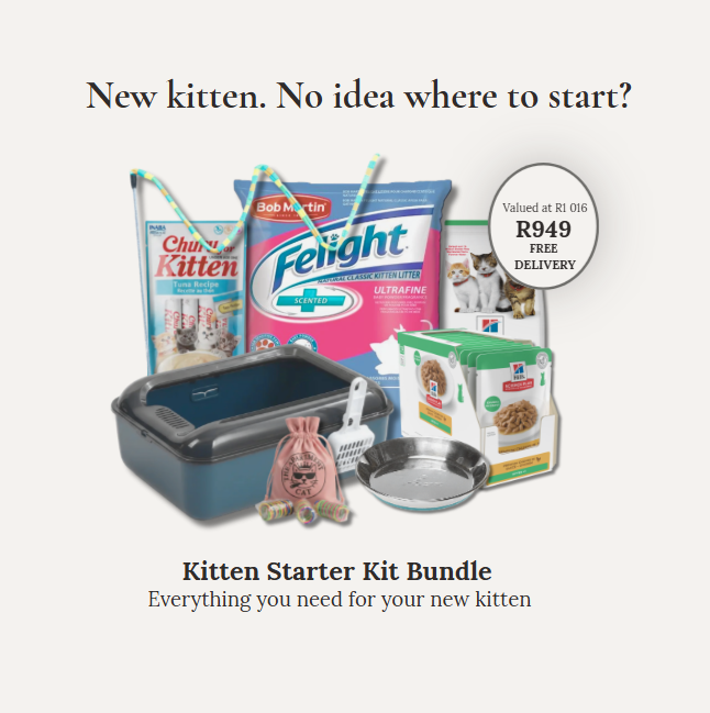 Kitten starter kit bundle with litter box, litter, bowl, Hill’s kitten food, Churu treats and toys
