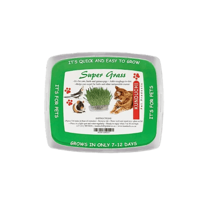 Kunduchi Super Grass Pet Grass Growing Kit — front product view
