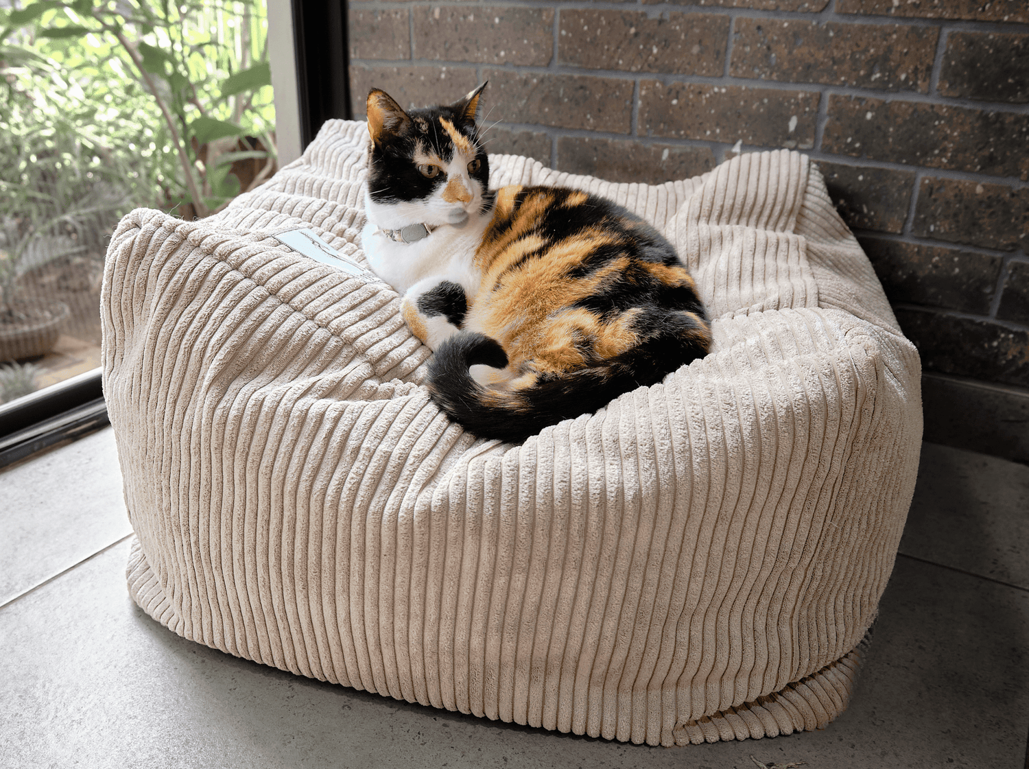 Soft grey corduroy cat bed cube with a cat resting on the padded cushion