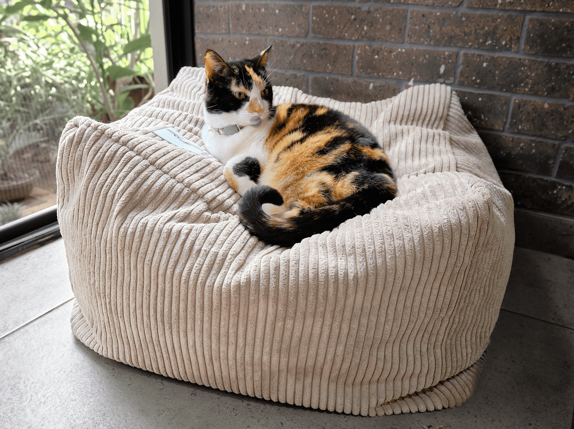 Soft grey corduroy cat bed cube with a cat resting on the padded cushion