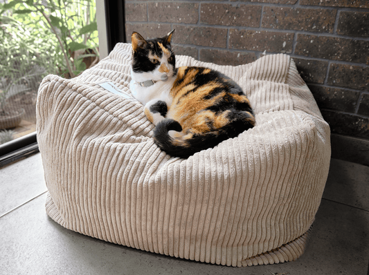 Soft grey corduroy cat bed cube with a cat resting on the padded cushion
