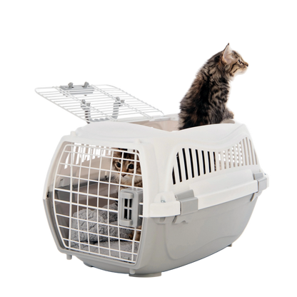 Two cats using M-PETS Giro Carrier with top door open