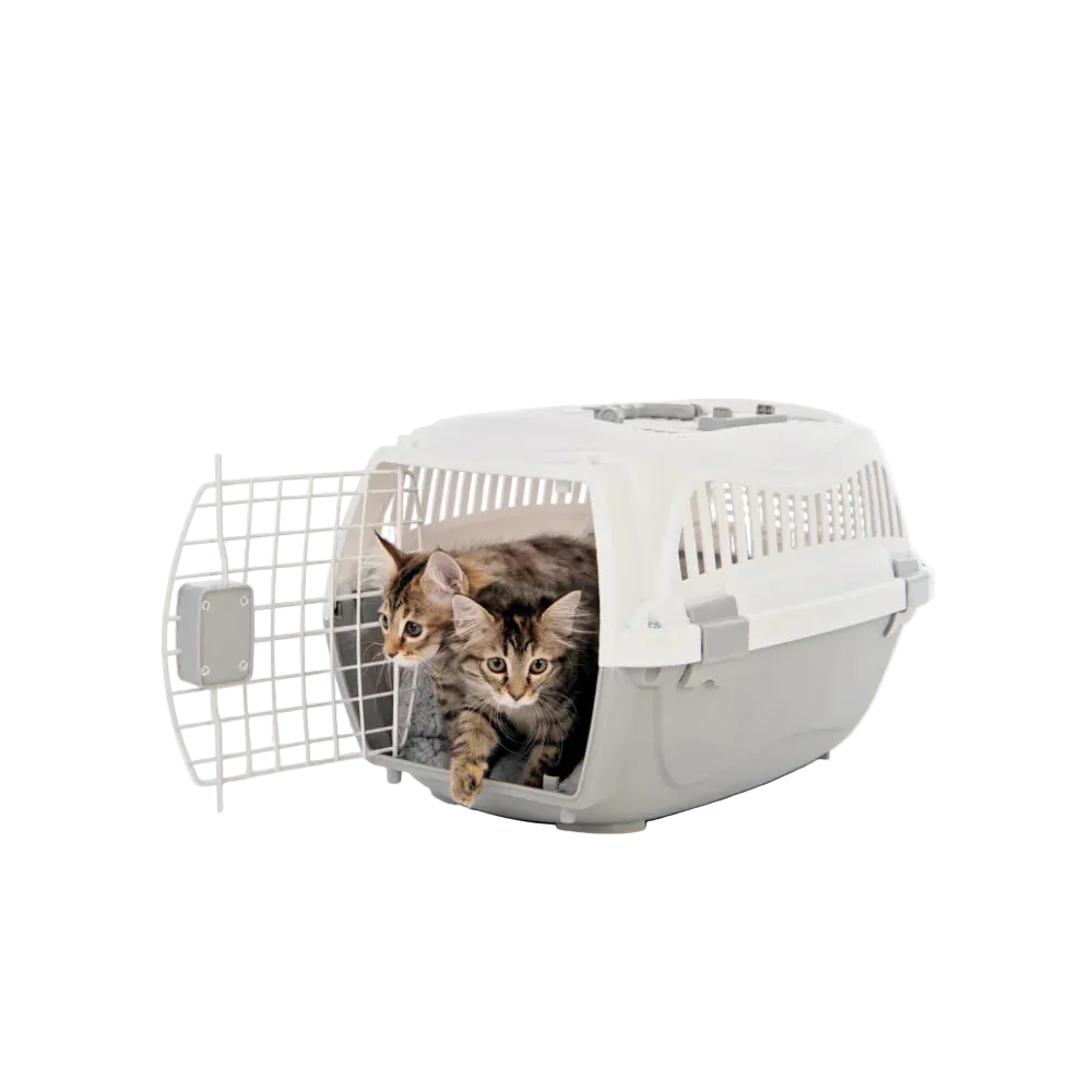 Two kittens exiting M-PETS Giro Carrier through the front metal door