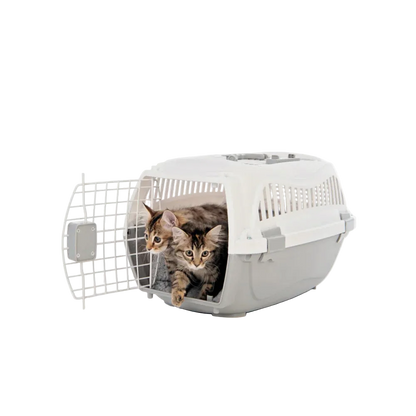 Two kittens exiting M-PETS Giro Carrier through the front metal door