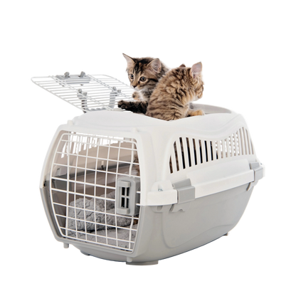 Two kittens inside M-PETS Giro Carrier with top door open