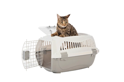 M-PETS Giro Carrier with cat sitting inside and top door open