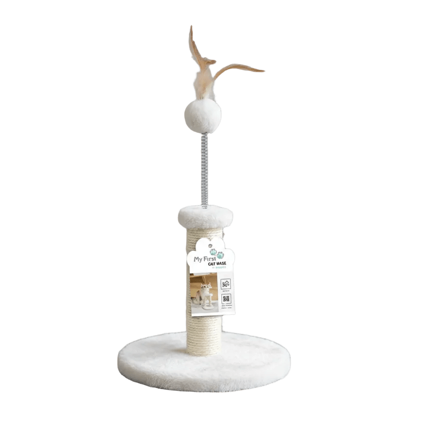 White kitten cat scratching tree with circular base and dangling pom ball and feather