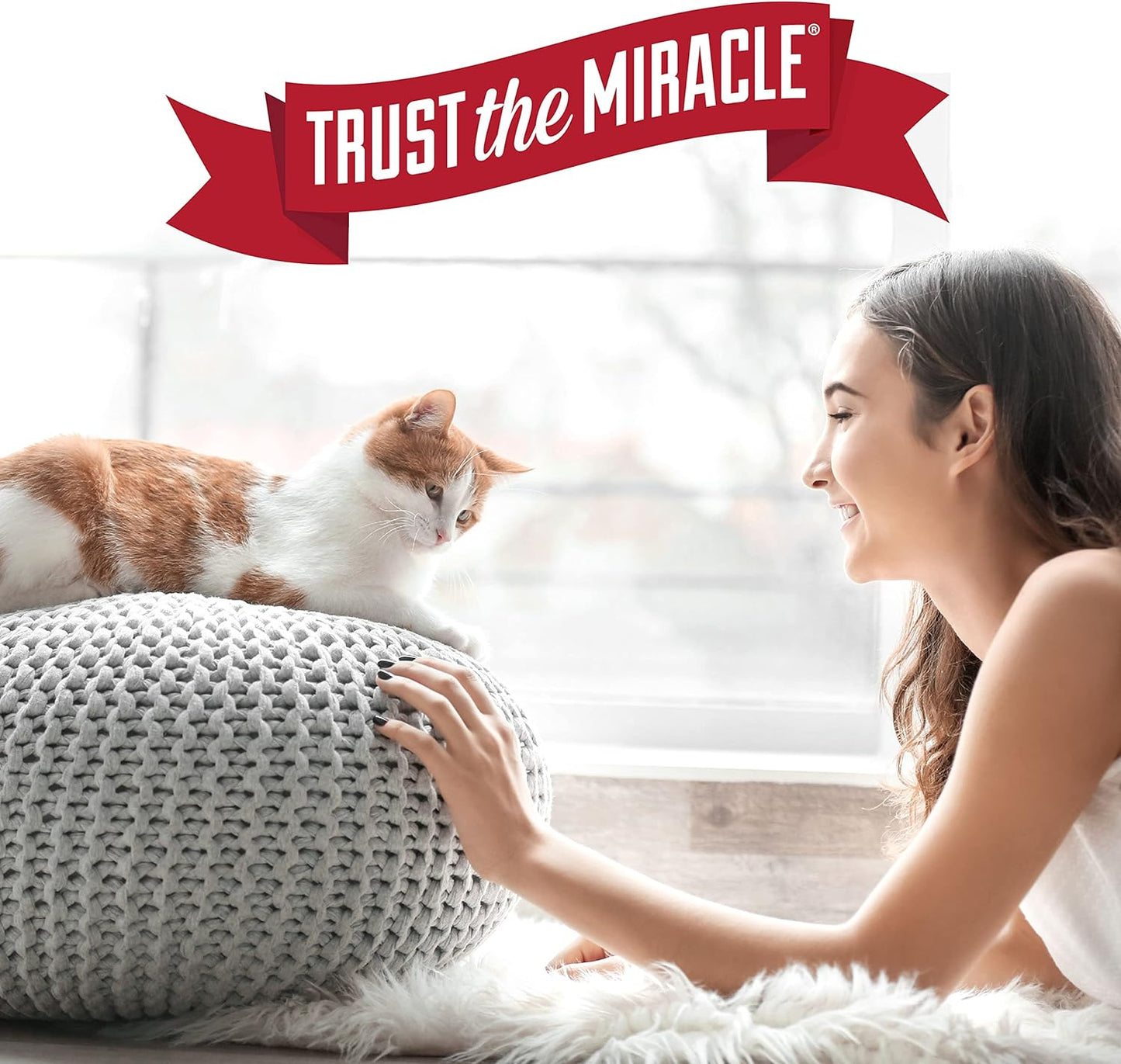 Cat relaxing on a cushion with Nature’s Miracle Trust the Miracle lifestyle branding