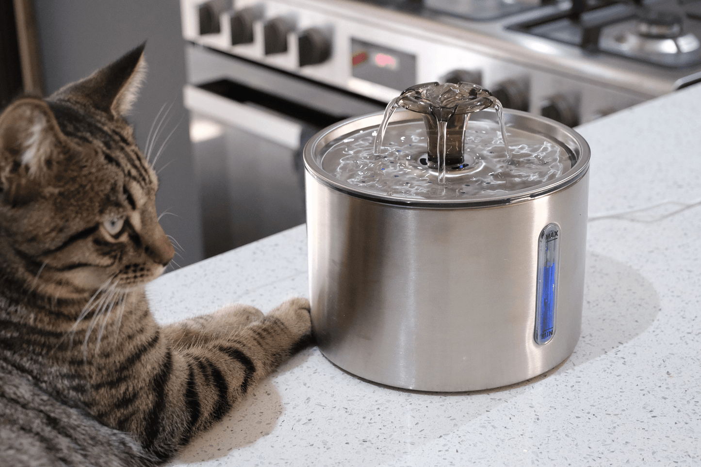 Pet Water Fountain — alternate product view